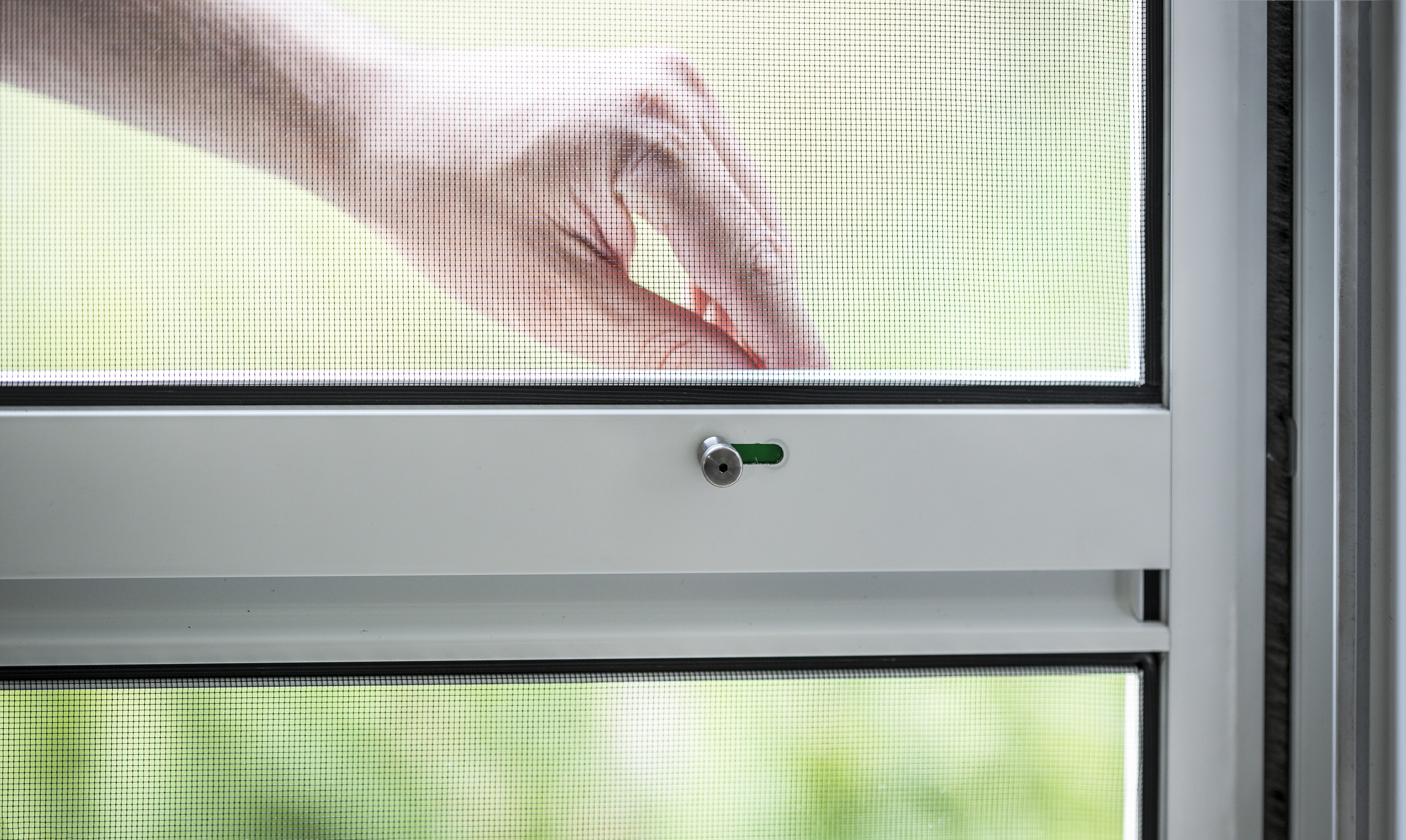 Detailansicht einer Sprossenverriegelung zum Arretieren der Pendeltür