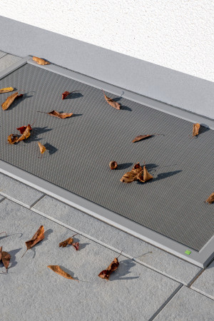 Kellerschachtabdeckung mit stabilem Aluminiumrahmen und feinmaschigem Gitter, Laub liegt auf der Oberfläche